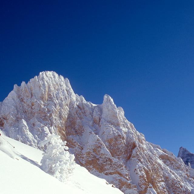 Isola 2000 - billede 2