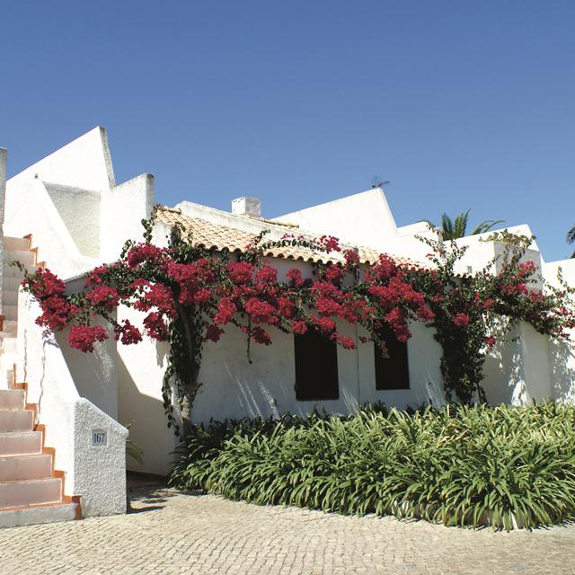 Lejligheder Pedras da Rainha - billede 2