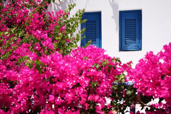 Foto af Koutouloufari