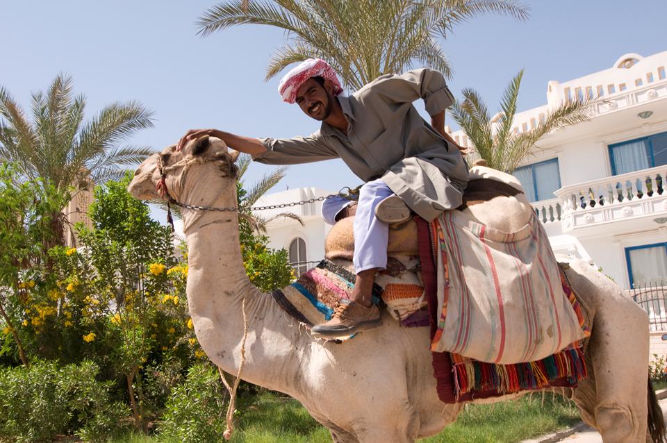 Sharm el Sheikh Foto: 8 af 9