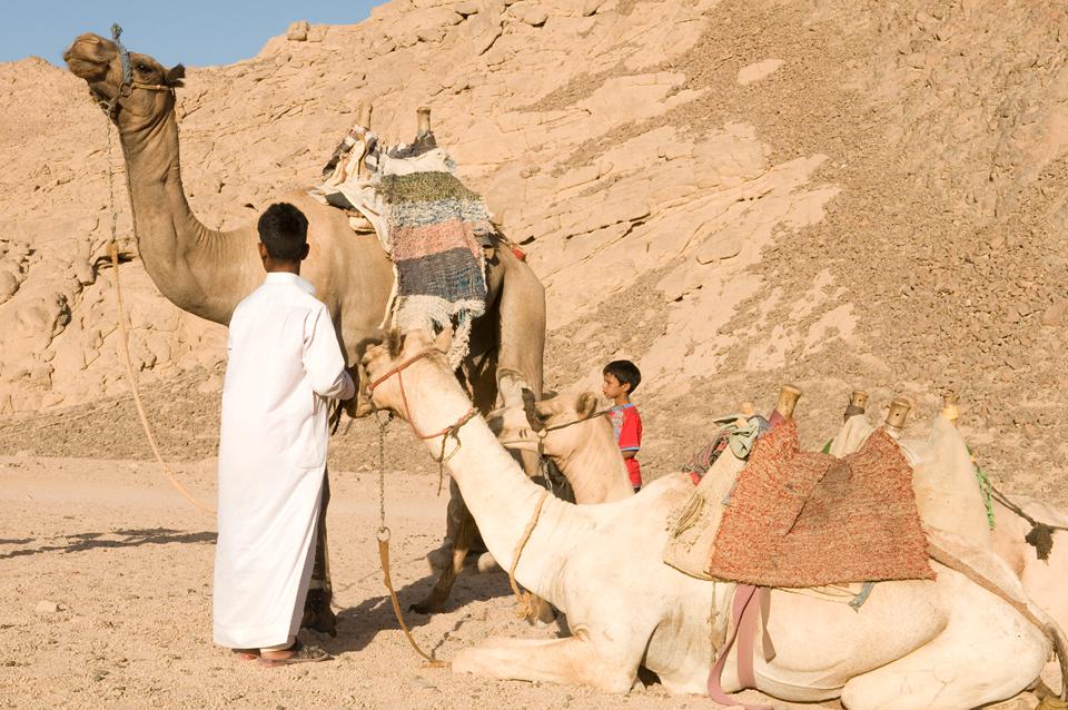 Sharm el Sheikh Foto: 4 af 4