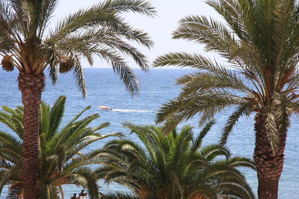 Santa Eulalia Foto: 7 af 10
