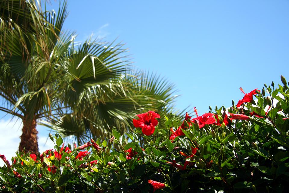 Costa Teguise Foto: 2 af 9