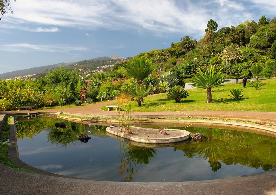 Funchal Foto: 5 af 5