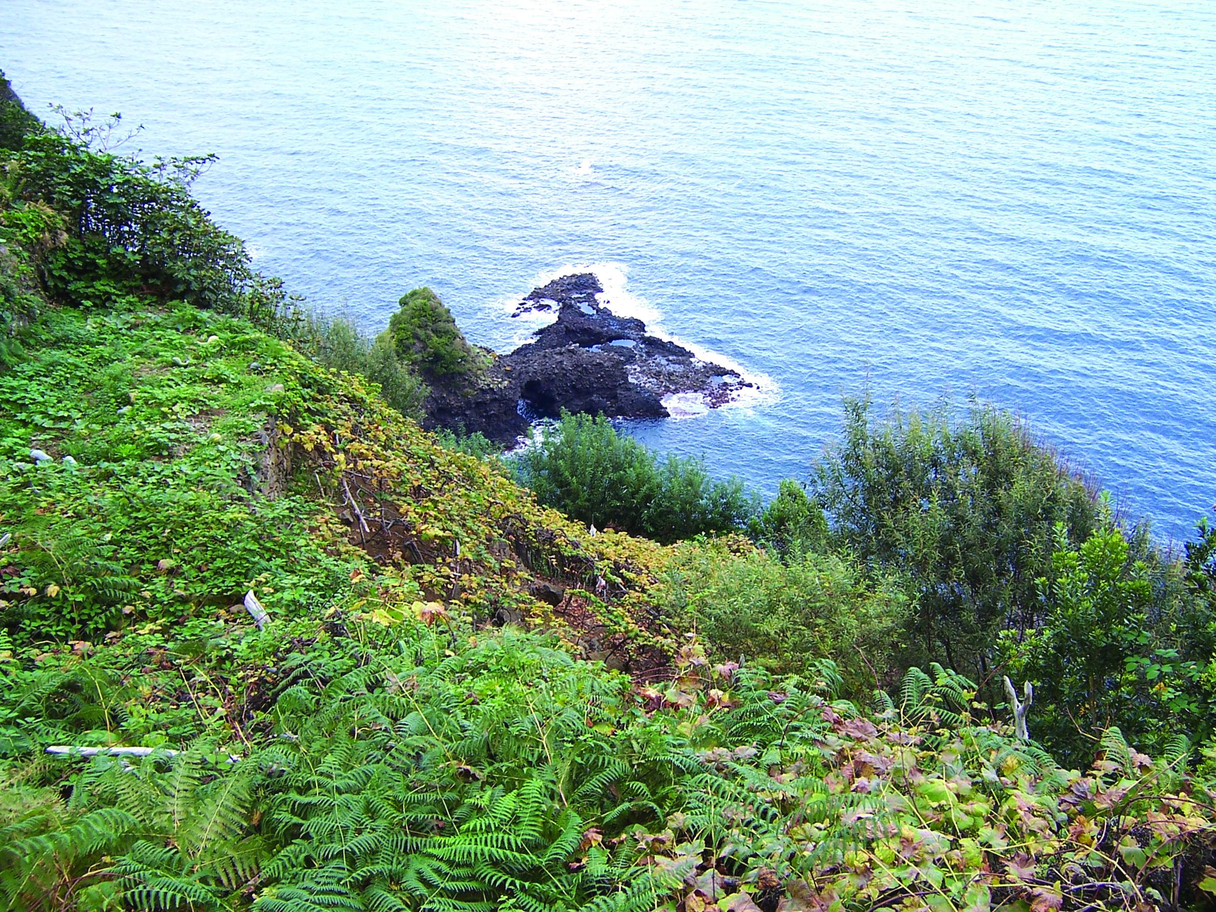 Funchal Foto: 3 af 5