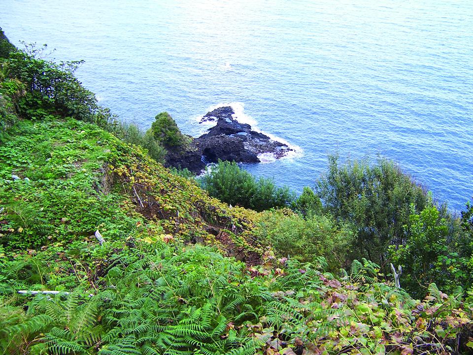 Funchal Foto: 3 af 5