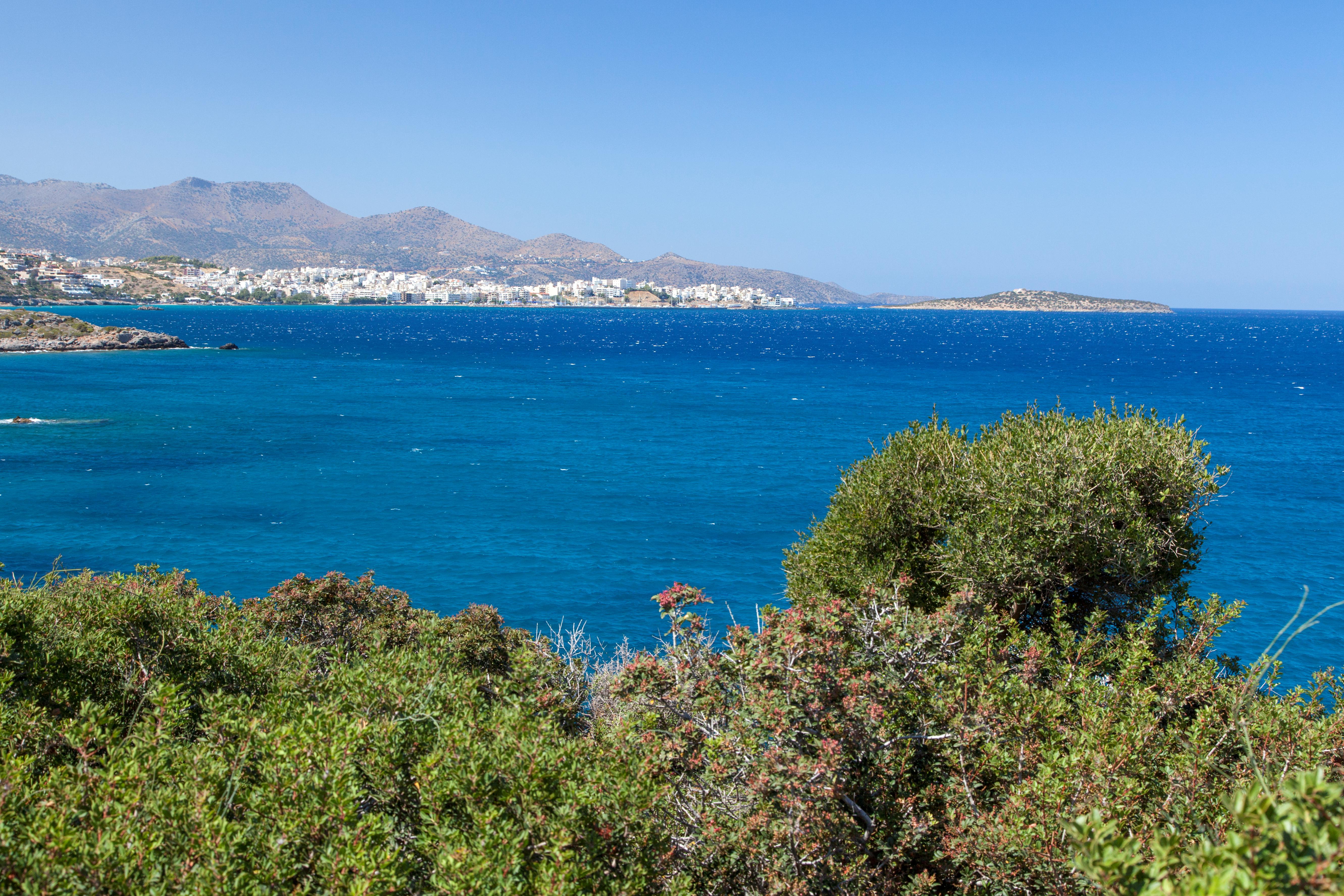 Kalives Foto: 3 af 3