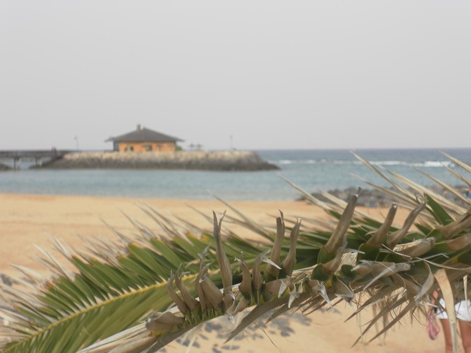 Caleta de Fuste Foto: 7 af 13