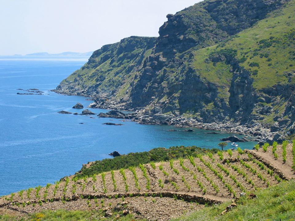 Languedoc - Roussillon Foto: 2 af 4