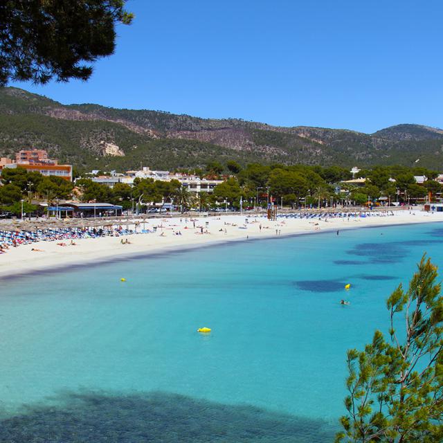 Rejser til Palma Nova
