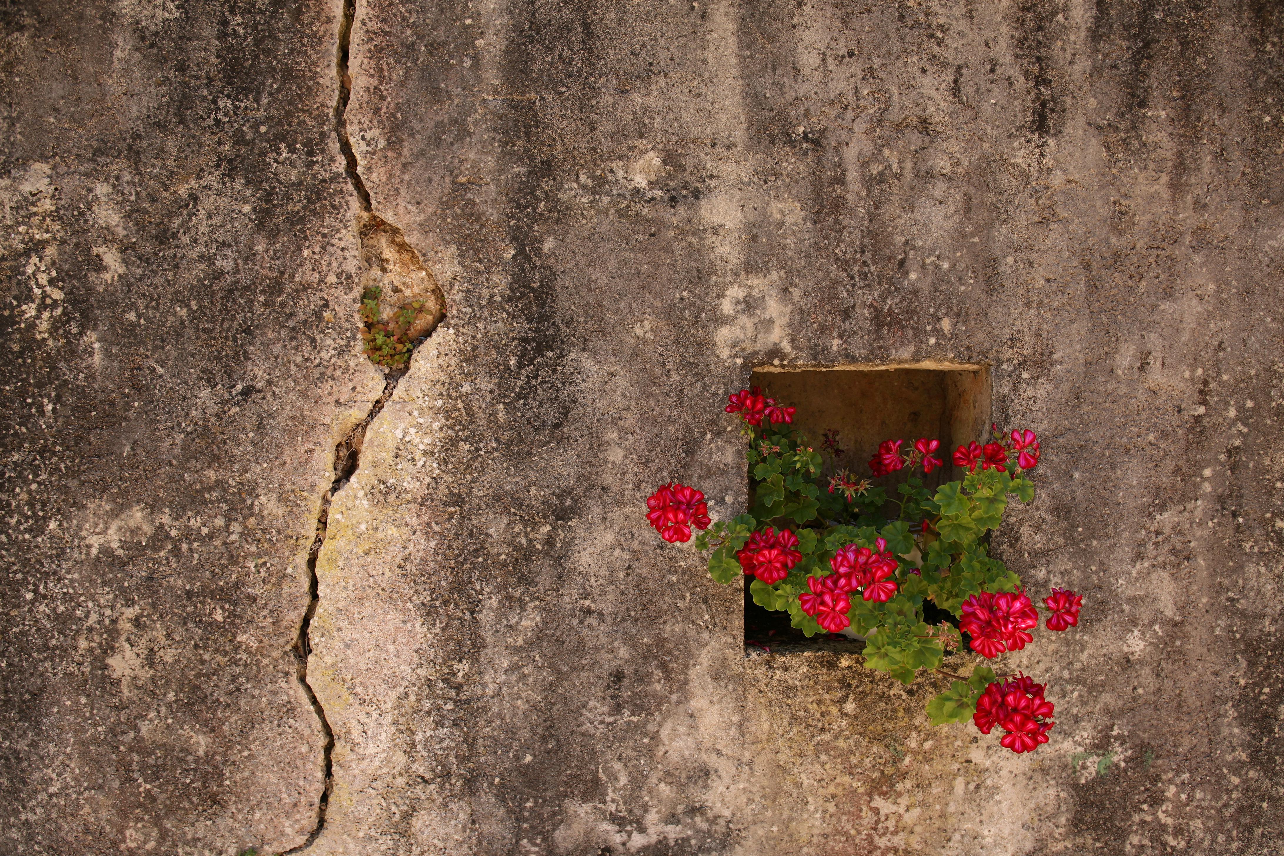 Alykanas Foto: 3 af 5