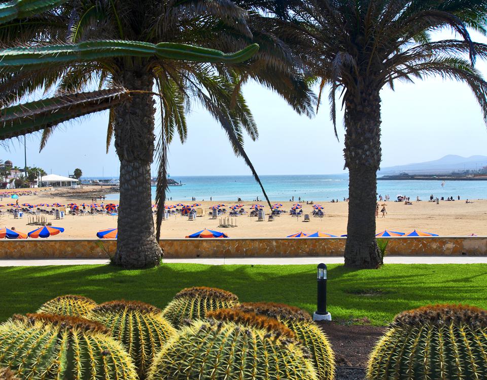 Caleta de Fuste Foto: 8 af 13