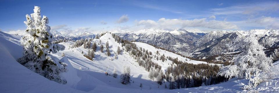 La Fôret Blanche Foto: 1 af 1