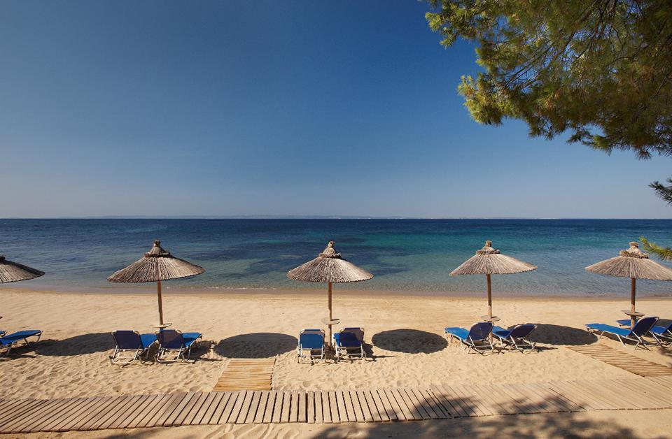 Metamorfosi - Sithonia Foto: 3 af 10