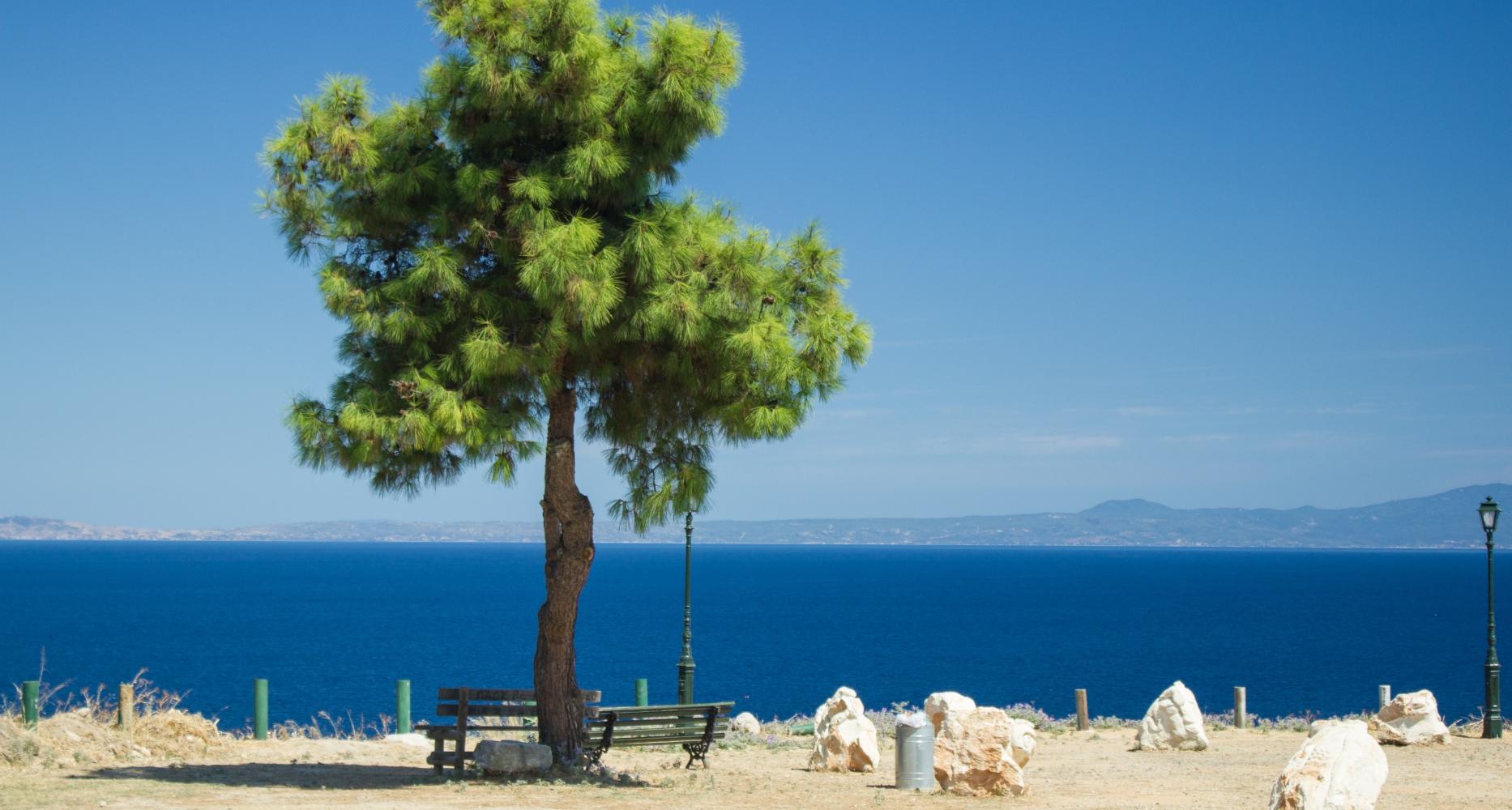 Afitos - Kassandra Foto: 3 af 5