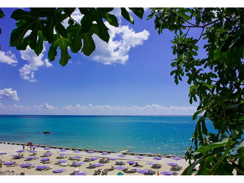 Sortehavet Foto: 3 af 11