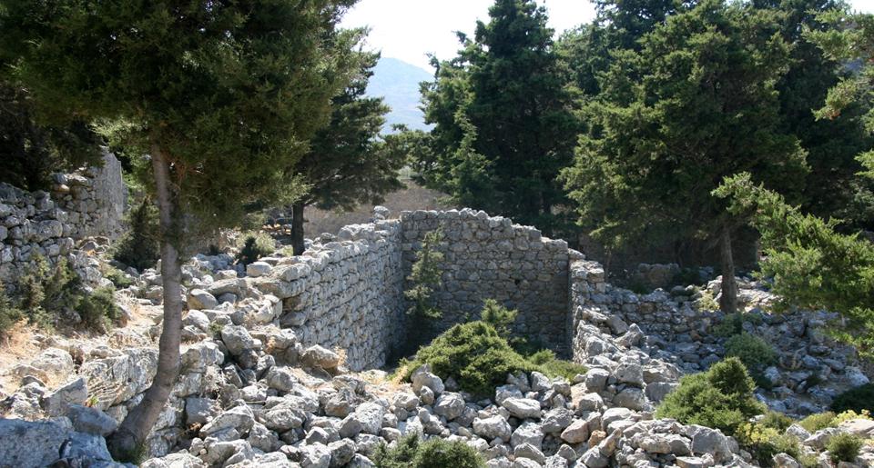 Kos Foto: 11 af 21