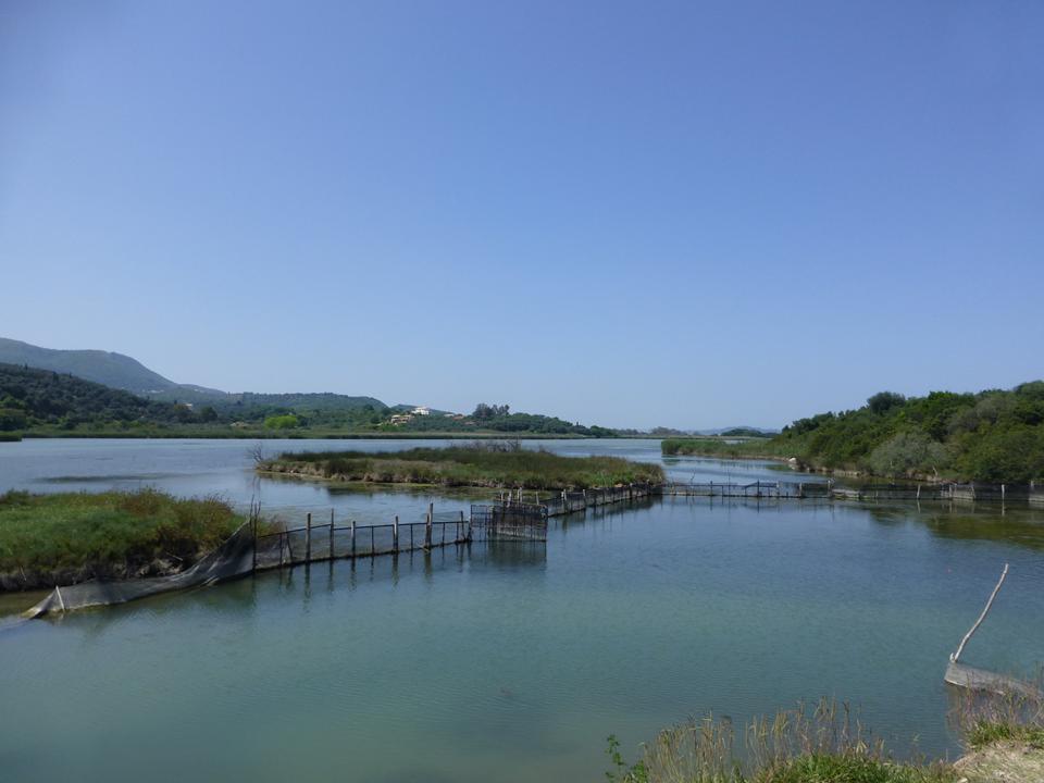 Agios Spyridon Foto: 4 af 6