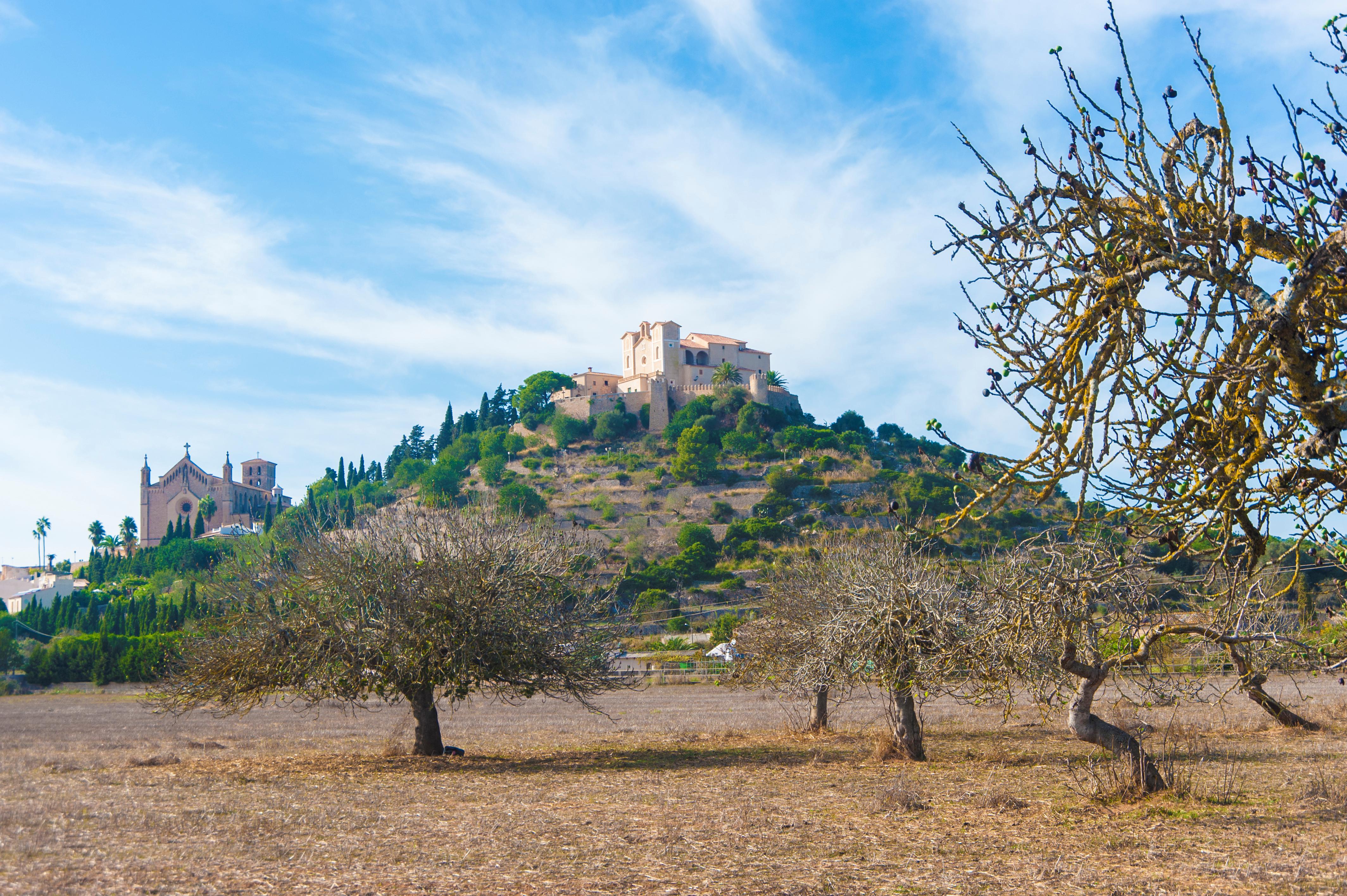 Alcudia Foto: 3 af 11