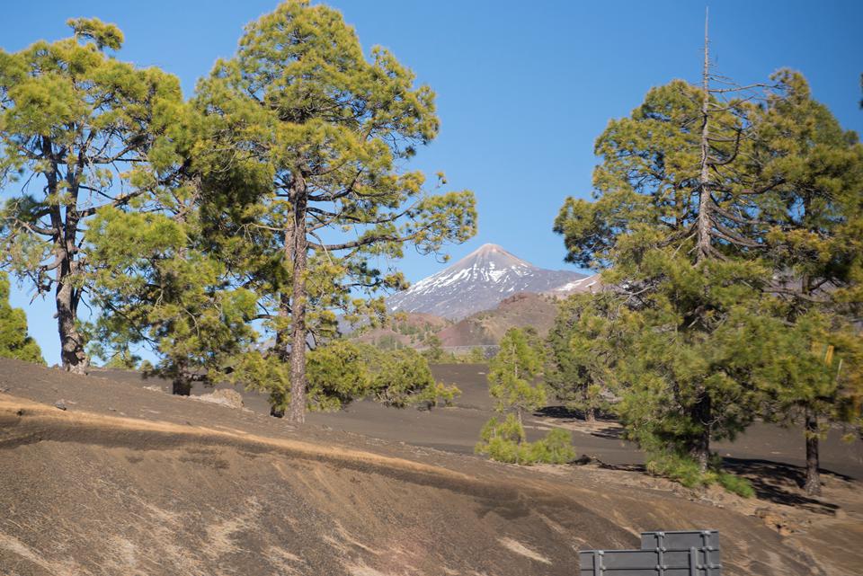 Tenerife Foto: 31 af 35