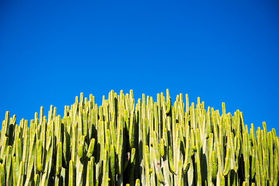 Tenerife Foto: 29 af 35