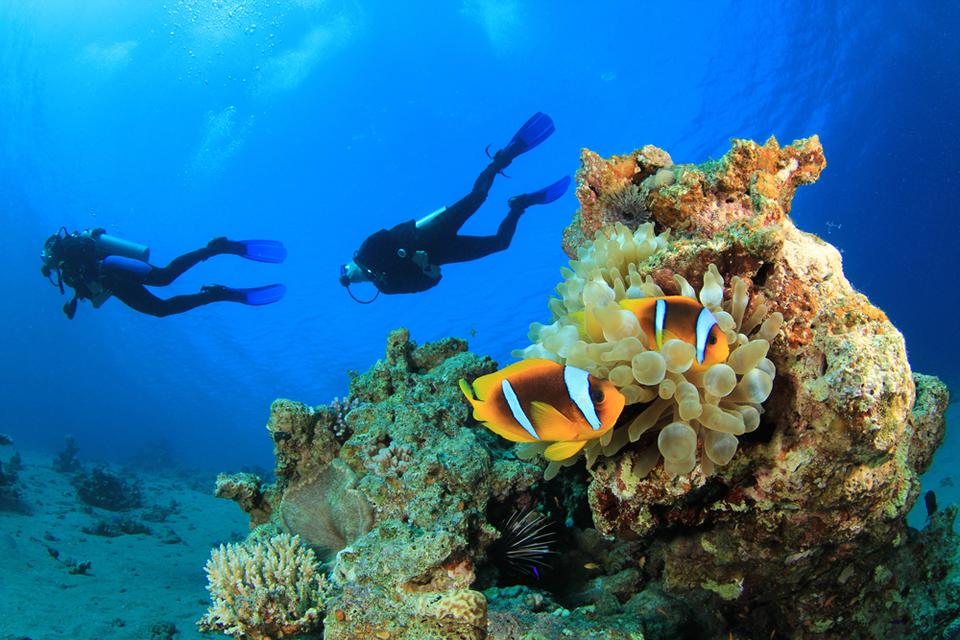 Marsa Alam Foto: 4 af 7