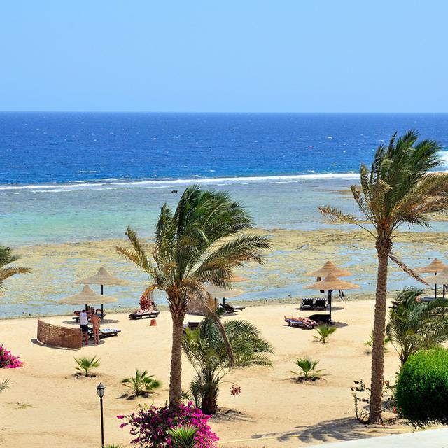 Marsa Alam – billede 3