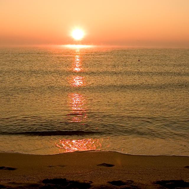 Rejser til Sunny Beach
