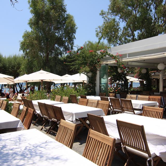 Hotel Okaliptus - billede 4