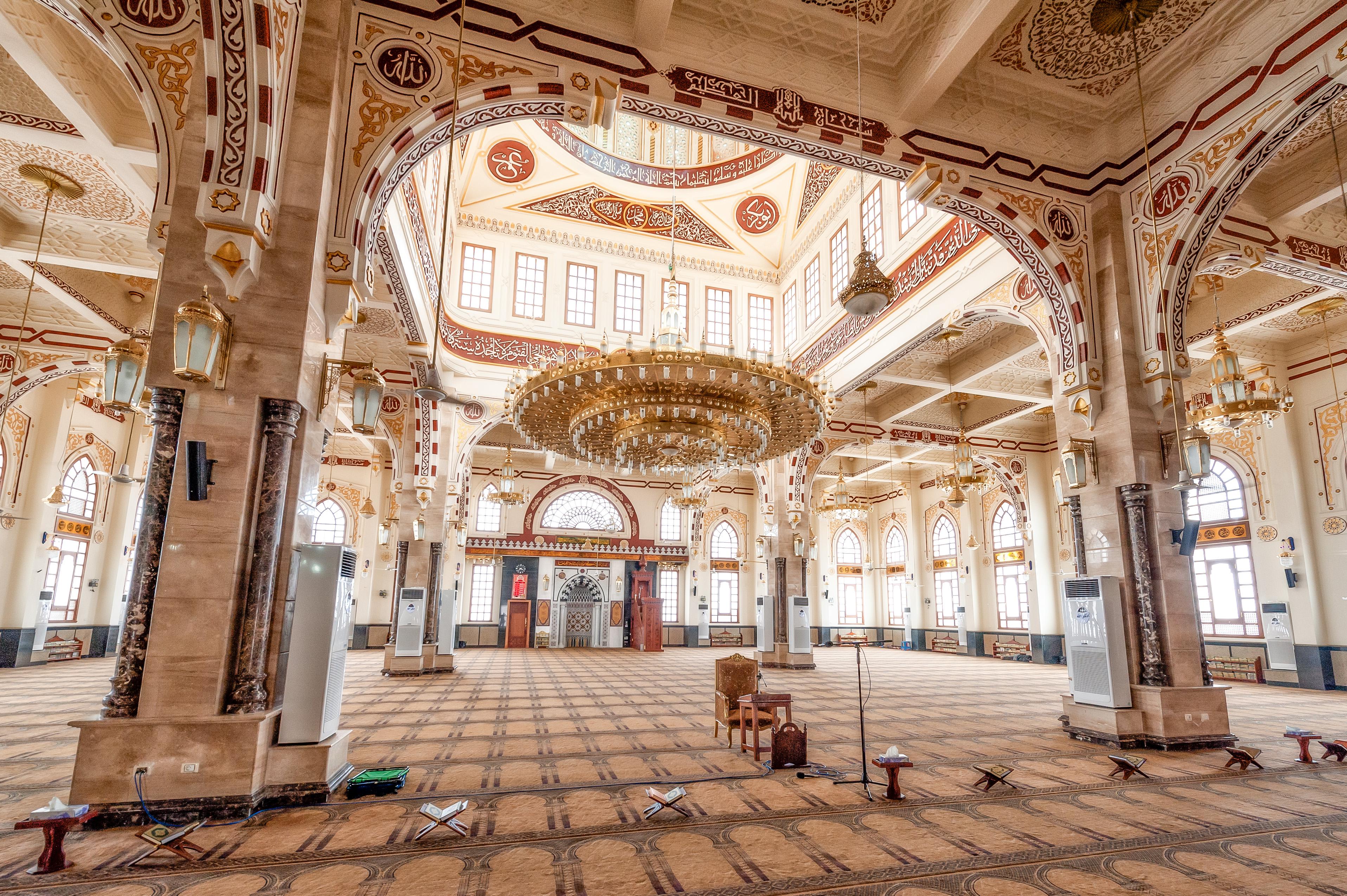 Rødehavet Foto: 14 af 15