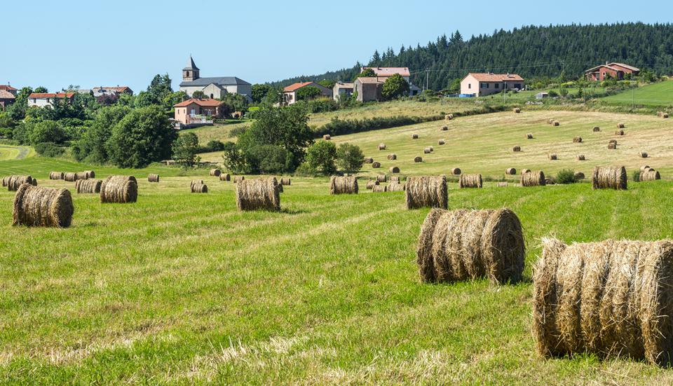 Rignac Foto: 1 af 1