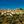 Costa Blanca