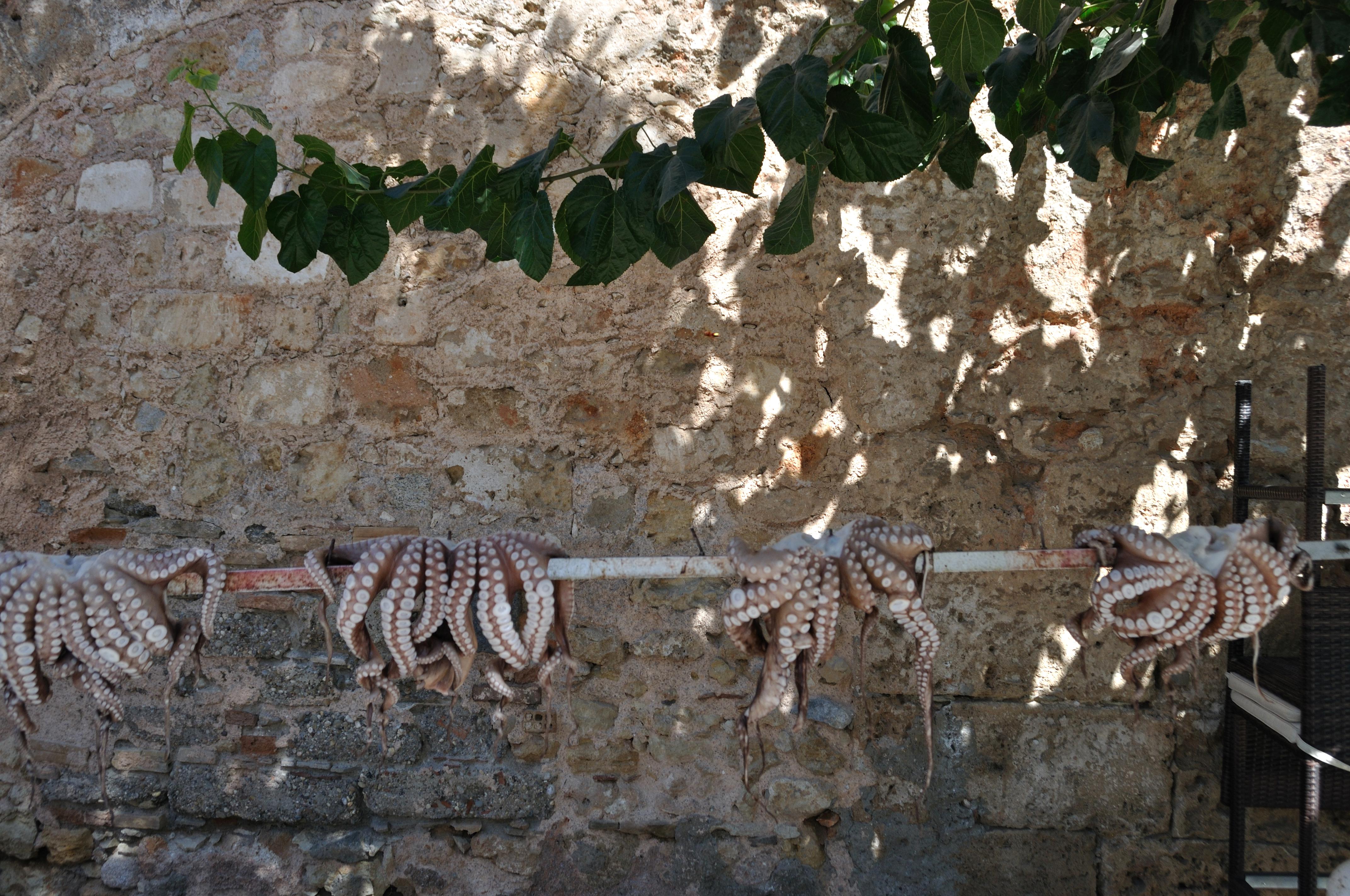 Chania Foto: 8 af 14