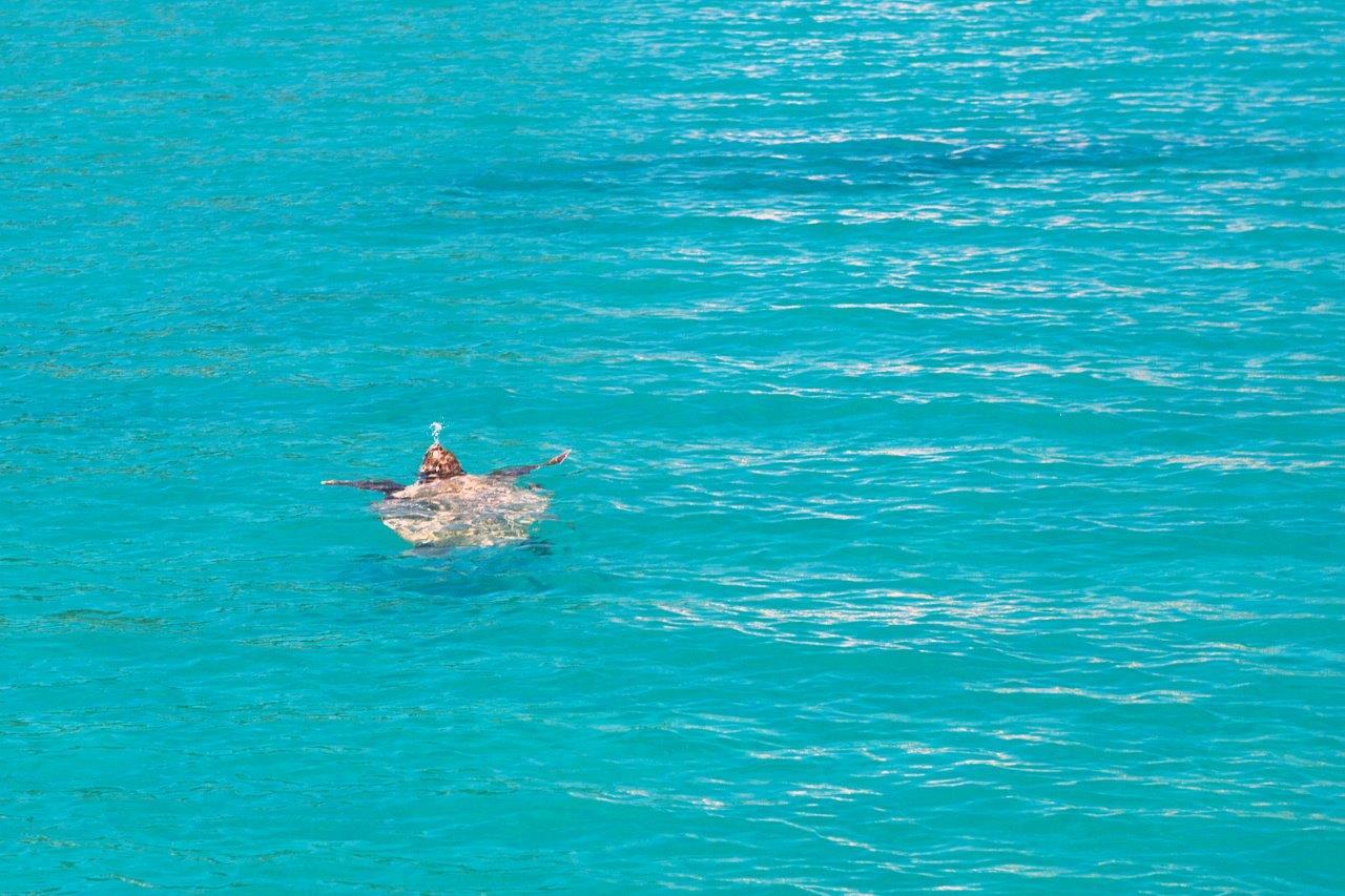 Zakynthos Foto: 4 af 18