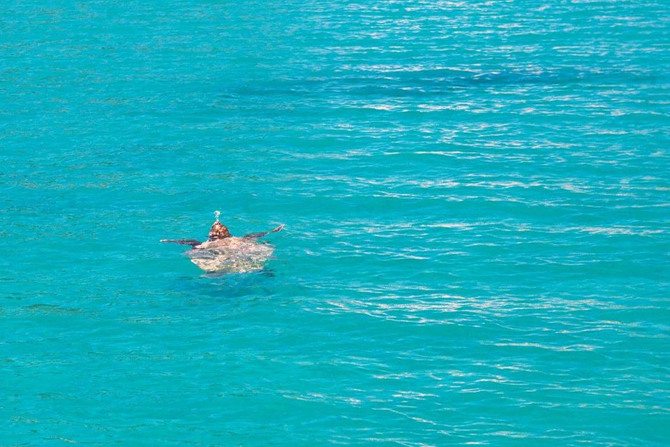 Zakynthos Foto: 4 af 18