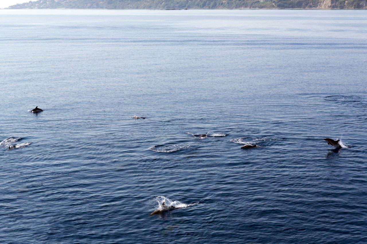 Zakynthos Foto: 13 af 18