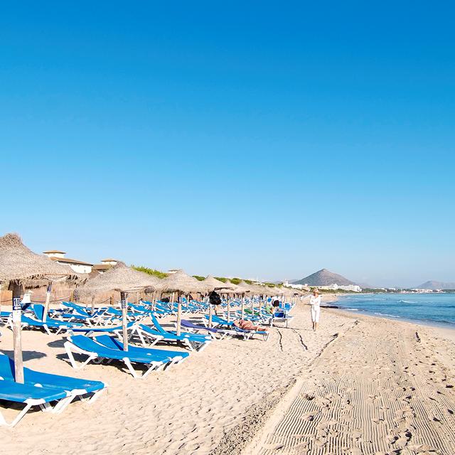 Rejser til Alcudia - Playa de Muro