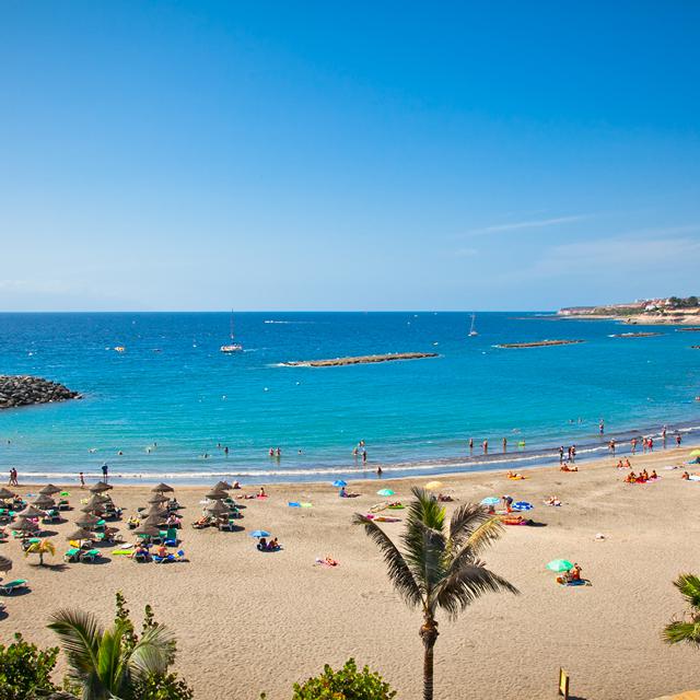 Rejser til Playa de Las Americas