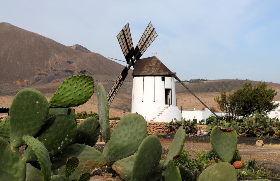 Fuerteventura Foto: 12 af 12