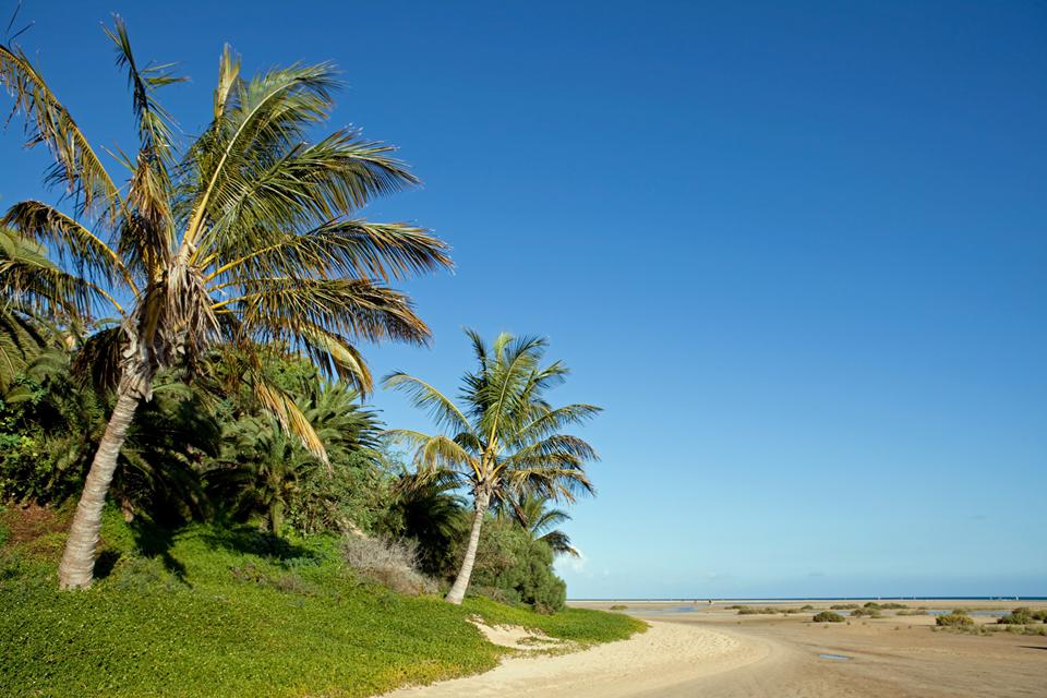 Jandía Playa Foto: 2 af 5