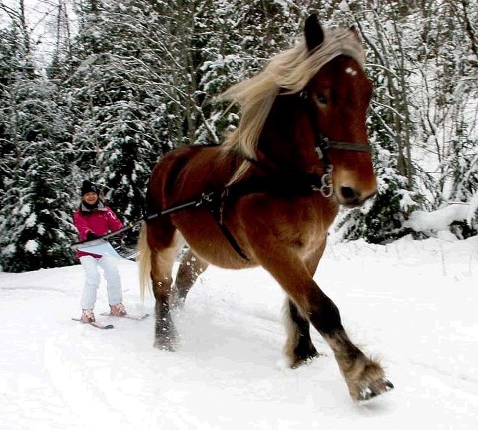 Chamonix Foto: 2 af 3