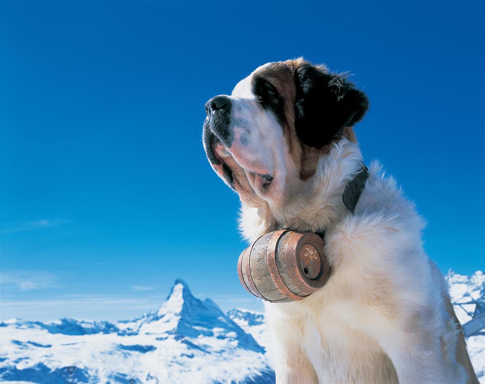 Schweiz Foto: 3 af 6
