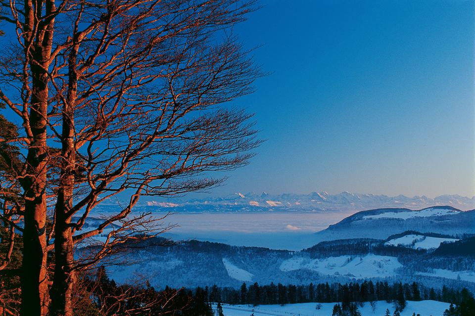 Schweiz Foto: 6 af 6