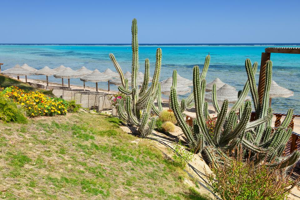 Marsa Alam Foto: 14 af 14