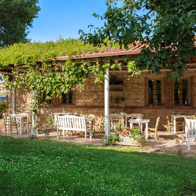 Petrino Eco Village - billede 4