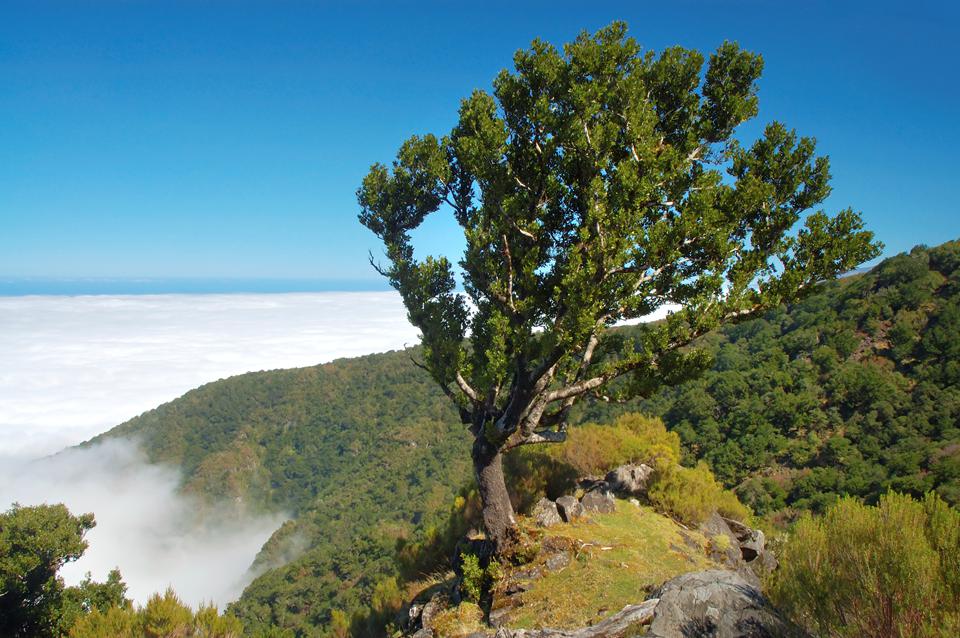 Calheta Foto: 4 af 4