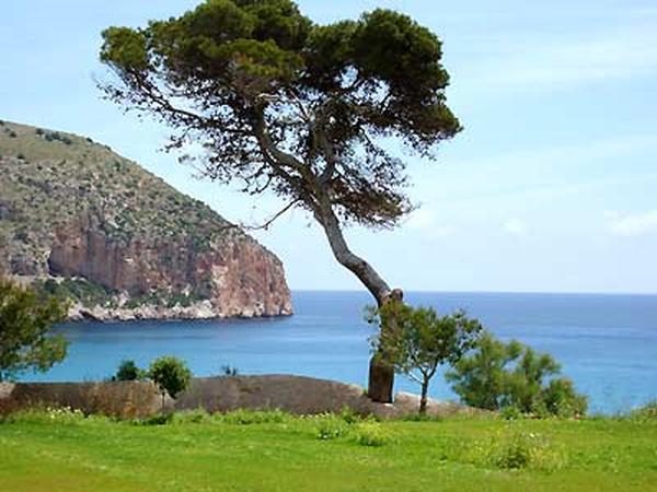 Foto af Cala Vinas