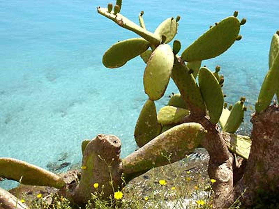 Cala Viñas Foto: 2 af 5
