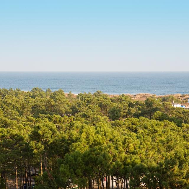 Monte Gordo Hotel & Spa - billede 4