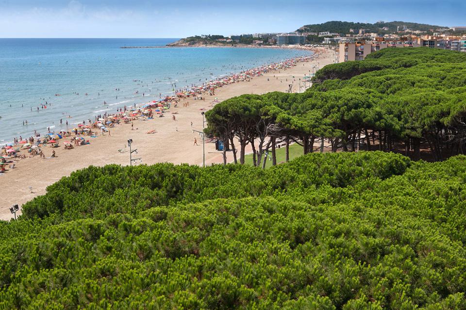 La Pineda Foto: 1 af 2